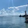 LESLEY ALEXANDER - @lesley10190 - TikTok