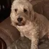 Lesley Anthony719 - @lesleyanthony2502 - TikTok