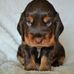 Lesley Anthony - Facebook