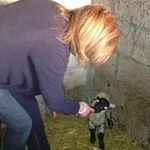Lesley Armstrong - @lesleyarmstrong6108 - Instagram