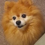 Lesley Armstrong - @inkyy_x - Instagram