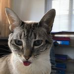 Lesley Armstrong - @armstrong.lesley.9 - Instagram