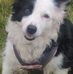 Lesley Armstrong - Facebook