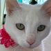 Lesley Barley - Facebook