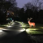 Lesley Barnes - @lesley.barnes.5201 - Instagram