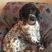 Lesley Baron - Facebook