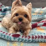 Lesley Baron - @lesley.baron - Instagram