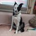 Lesley Barr - Facebook