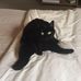 Lesley Barr - Facebook