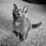 Lesley Bean - @lesleybean59 - Instagram