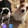 lesleybean5 - @lesleybean5 - TikTok