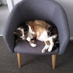 Lesley Becker - @lesleybecker6 - Instagram