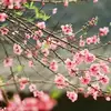 Lesley Benjamin - @lesley.benjamin6 - TikTok