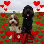 Lesley Benjamin - @lesley.benjamin.9 - Instagram