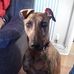 Lesley Benton - Facebook