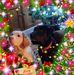 Lesley Benton - Facebook