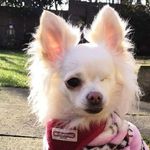 Lesley Betts - @chimumtoo10 - Instagram