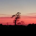 lesley bingham - @bingham389 - Instagram