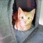 Lesley Bishop - @lesley.bishop.33 - Instagram