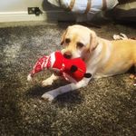 lesley bishop - @bishoplesley676 - Instagram