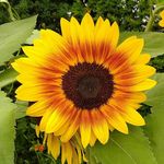 Lesley Bishop - @lesley.bishop.372019 - Instagram
