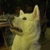 Lesley Bishop - Facebook