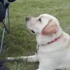 lesleybishop435 - @lesleybishop435 - TikTok