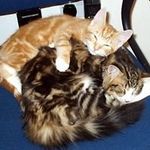 Lesley Blackburn - @lesley.blackburn.73 - Instagram