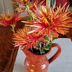 Lesley Bourne - @lesleybourne66 - Instagram