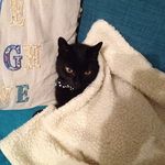 Lesley Boyd - @lesley.boyd.338 - Instagram