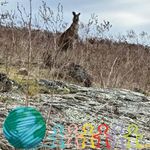 Lesley Boyd - @lesleyboyd76 - Instagram