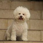 Lesley Boyd - @lesleyboyd6551 - Instagram