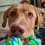 Lesley Branch - @branchfam490 - Instagram