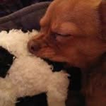 Lesley Bunch - @bunchlesley - Instagram