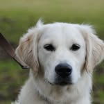 Lesley Anne - @lesley.burton.127 - Instagram