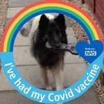 Lesley Burt - @lesley.burt.73 - Instagram