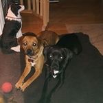 Lesley Burt - @lesley_burt - Instagram