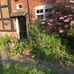 Lesley Burton - Facebook