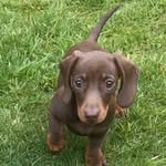 Lesley Bush - @lesleybush35 - Instagram