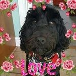 Lesley Casey - @lesley.casey.96 - Instagram
