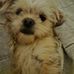 Lesley Coates - Facebook