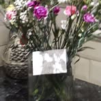 Lesley Chandler - Facebook