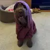 Lesley Chandler - @lesley.chandler6 - TikTok