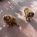 Lesley Coe - Facebook
