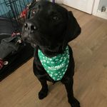 Lesley Coyle - @lescoyle - Instagram