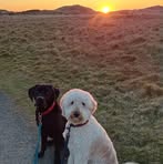 Lesley Coyle - Facebook