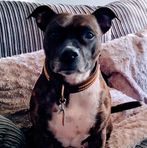 Lesley Crisp - Facebook