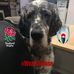 Lesley Crook - Facebook