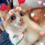 Lesley culverhouse - @lesleyculverhouse60 - Instagram