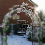 Lesley Curran - @instaljc - Instagram